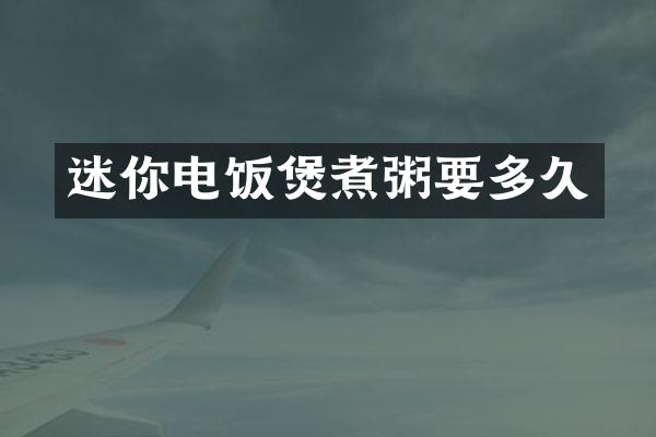 迷你电饭煲煮粥要多久