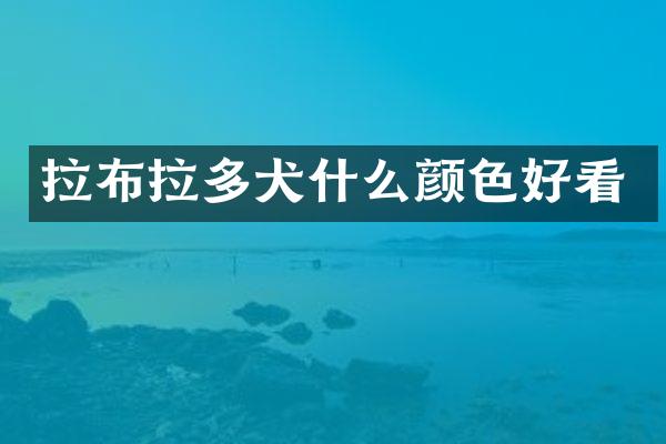 拉布拉多犬什么颜色好看
