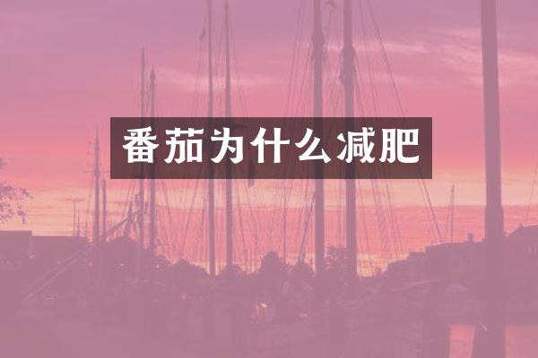 番茄为什么减肥