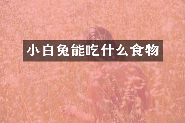 小白兔能吃什么食物