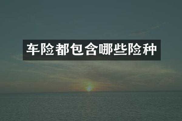 车险都包含哪些险种