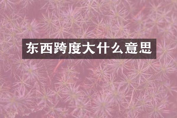 东西跨度大什么意思