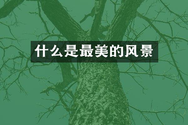 什么是最美的风景