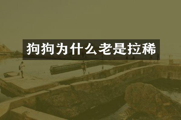 狗狗为什么老是拉稀