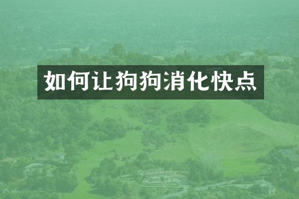 如何让狗狗消化快点