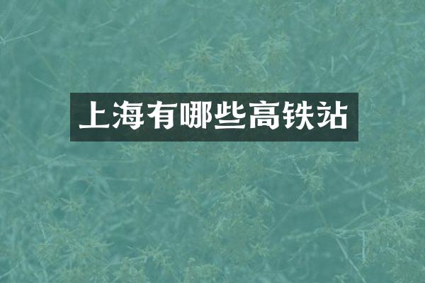 上海有哪些高铁站