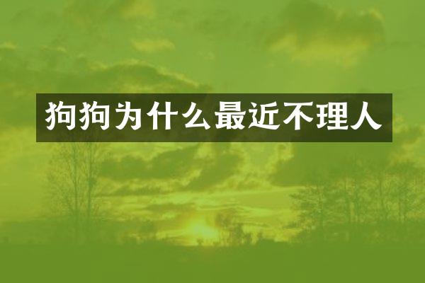狗狗为什么最近不理人