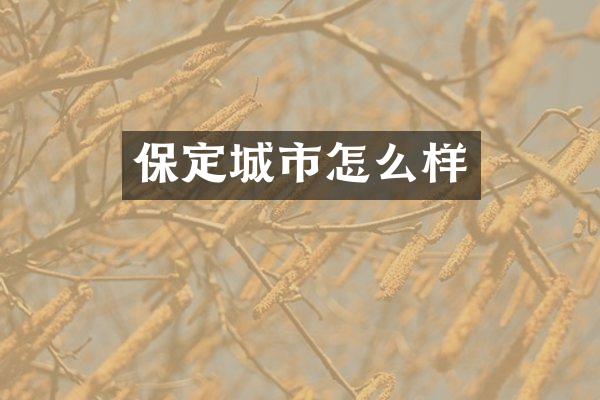 保定城市怎么样