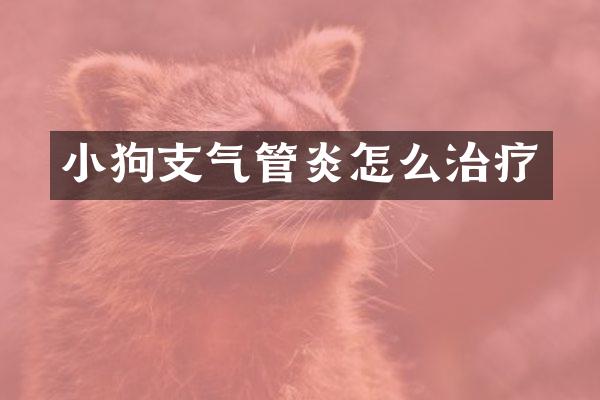 小狗支气管炎怎么治疗