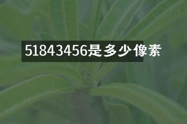 51843456是多少像素