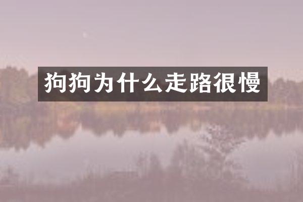 狗狗为什么走路很慢