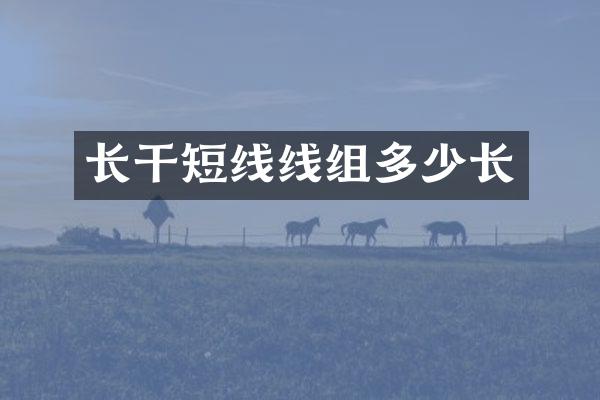 长干短线线组多少长