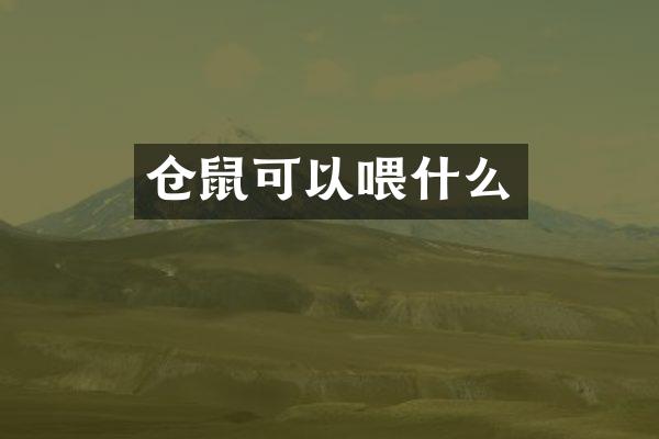 仓鼠可以喂什么