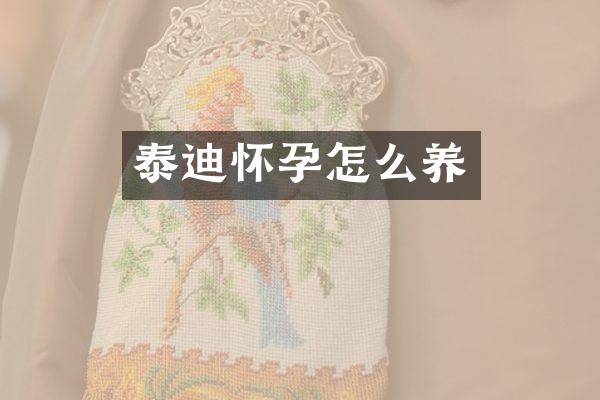 泰迪怀孕怎么养