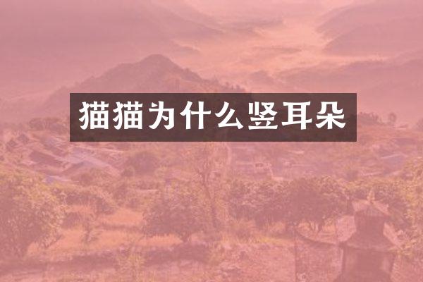 猫猫为什么竖耳朵