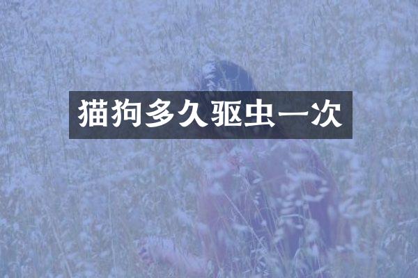 猫狗多久驱虫一次