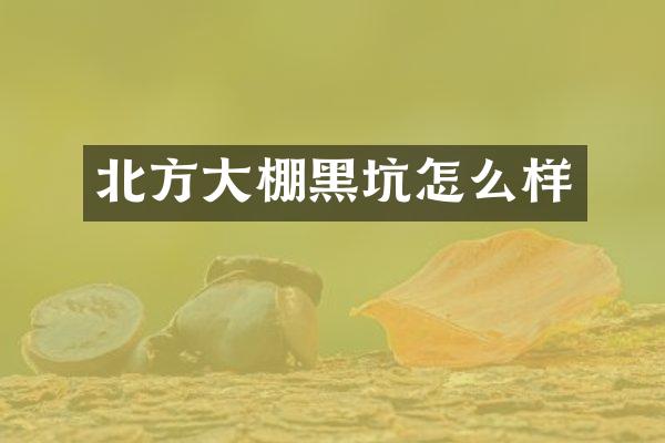 北方大棚黑坑怎么样