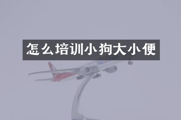 怎么培训小狗大小便