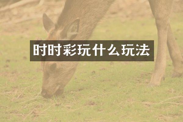 时时彩玩什么玩法