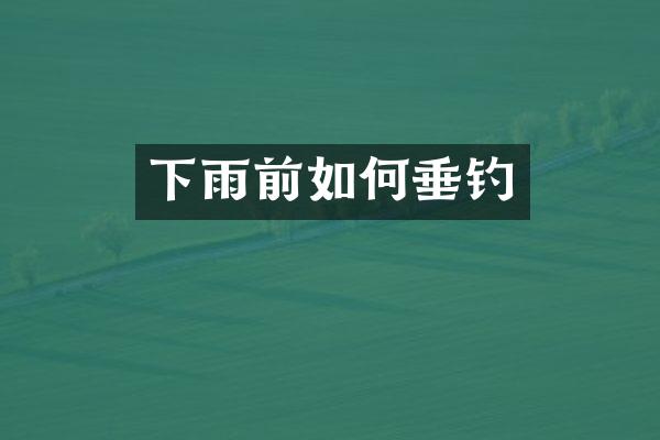 下雨前如何垂钓
