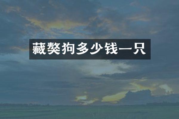 藏獒狗多少钱一只