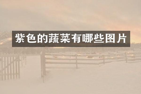 紫色的蔬菜有哪些图片