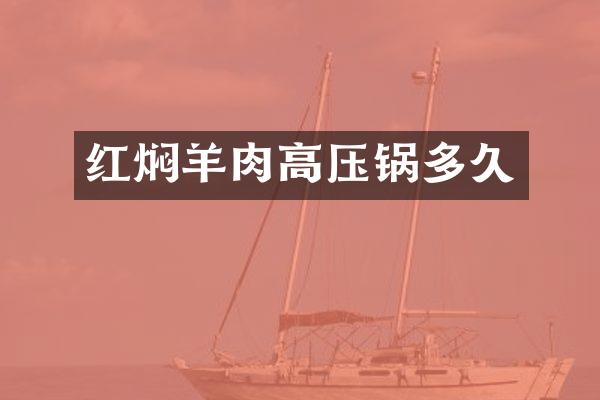 红焖羊肉高压锅多久