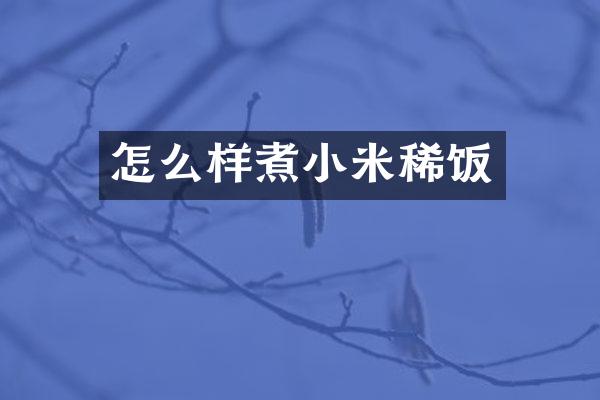 怎么样煮小米稀饭