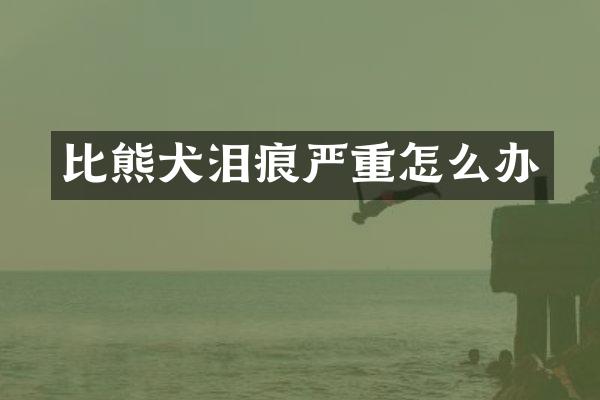 比熊犬泪痕严重怎么办