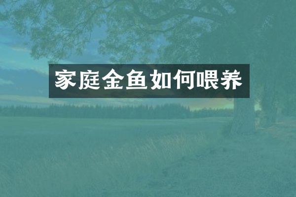 家庭金鱼如何喂养