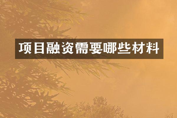 项目融资需要哪些材料