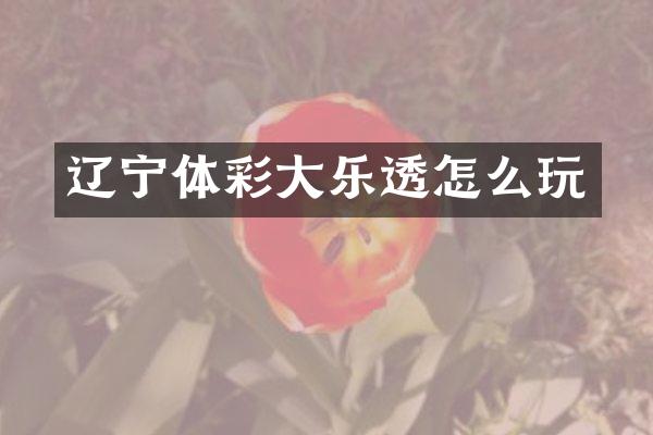 辽宁体彩大乐透怎么玩