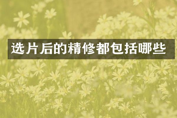 选片后的精修都包括哪些