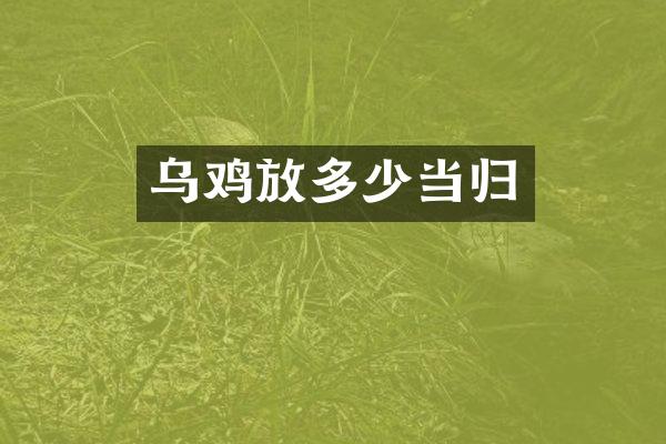 乌鸡放多少当归
