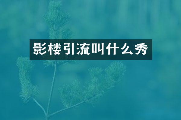 影楼引流叫什么秀