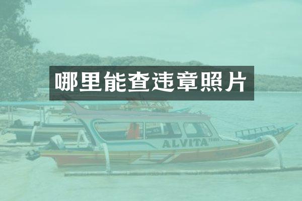哪里能查违章照片