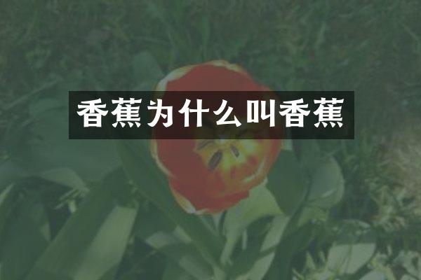 香蕉为什么叫香蕉