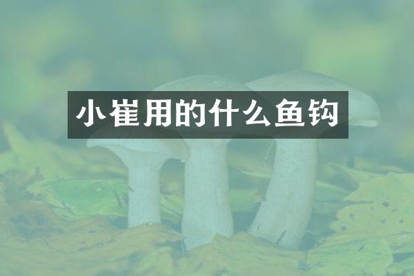 小崔用的什么鱼钩