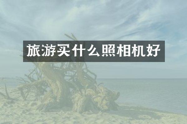 旅游买什么照相机好