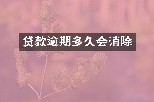 贷款逾期多久会消除