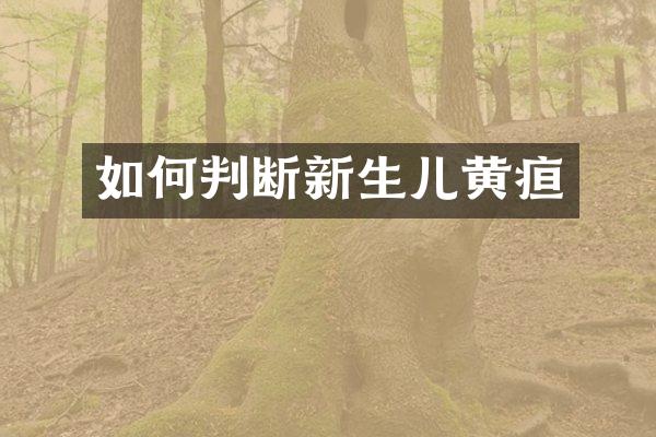 如何判断新生儿黄疸