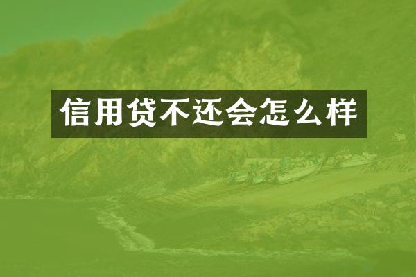 信用贷不还会怎么样