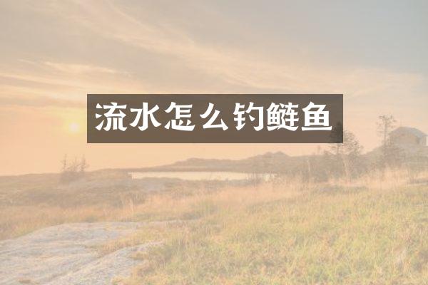 流水怎么钓鲢鱼