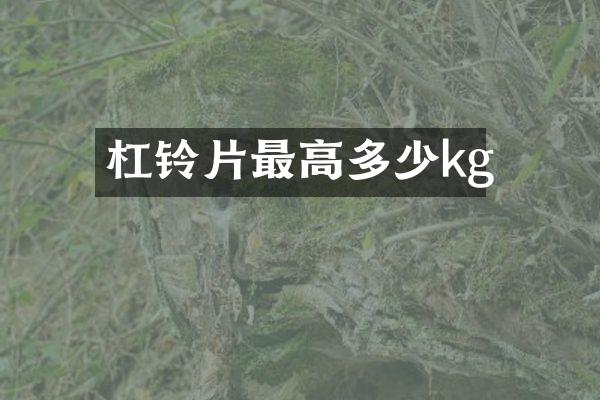杠铃片最高多少kg