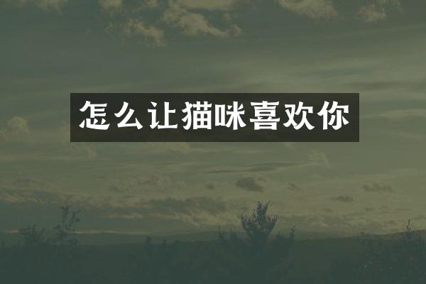怎么让猫咪喜欢你
