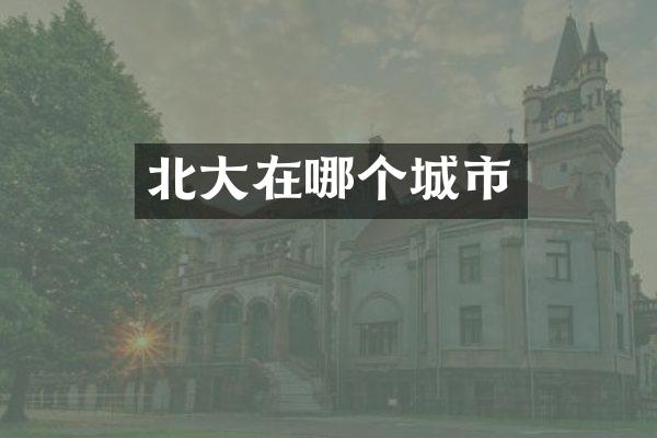 北大在哪个城市