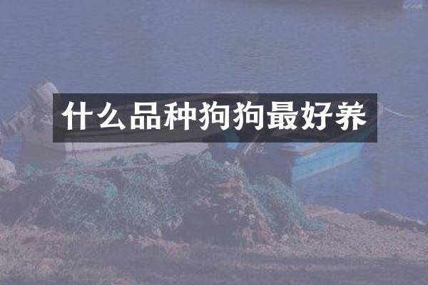什么品种狗狗最好养