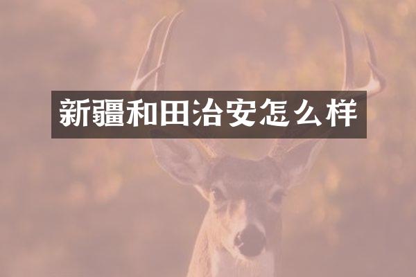 新疆和田治安怎么样