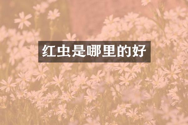 红虫是哪里的好
