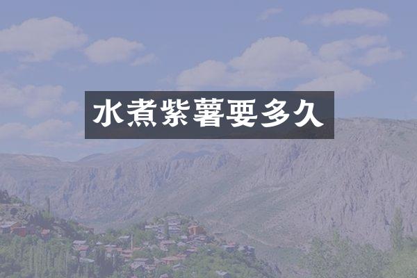 水煮紫薯要多久